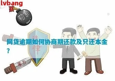 网贷逾期后如何收回本金？律师教你5招维权