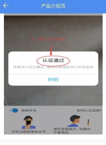 养老金怎么认证？手把手教你避开这些坑！