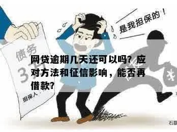 网贷逾期了，到底用不用报备征信？