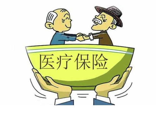 农村医疗保险怎么交？一文读懂缴费流程与注意事项