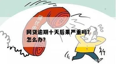 网贷逾期一个月，后果真的那么严重吗？