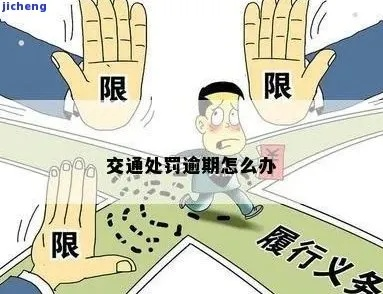 违章处罚逾期1年，后果竟然这么严重？你可能已经踩坑了！