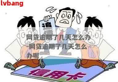 中国网贷逾期的有多少人？背后隐藏哪些法律风险？