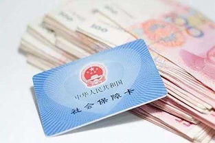 社保不交了，钱能退回来吗？资深律师为你深度解析