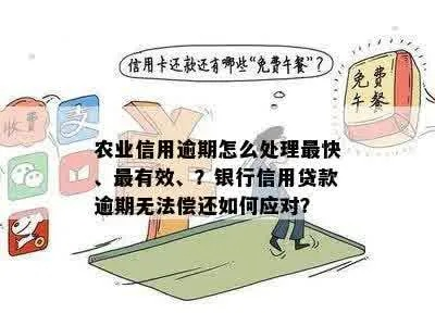 家庭农场网贷逾期了，还能申请贷款吗？律师详解征信污点后的补救策略