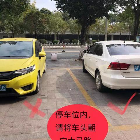 违规停车怎么处罚？这些细节你必须知道！