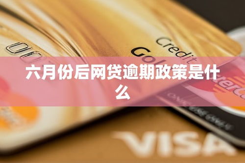 六月网贷逾期了怎么办理