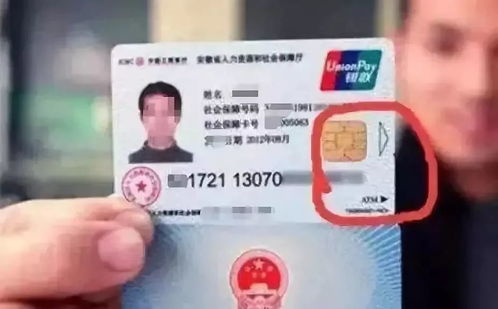 公司不交社保，真能省下一大笔钱？小心罚款让你赔到肉疼！