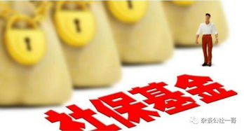 社保中途不交，真的可以吗？一位资深律师的贴心解读
