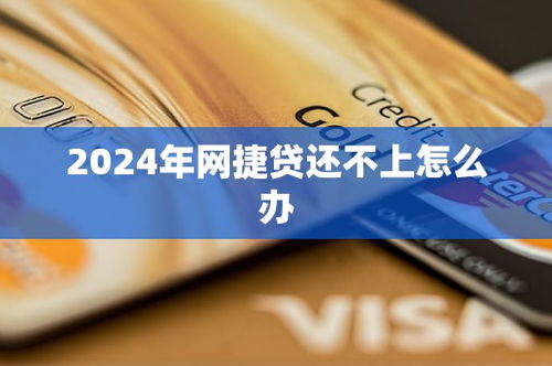 网捷贷还不上被起诉了，我该怎么办？