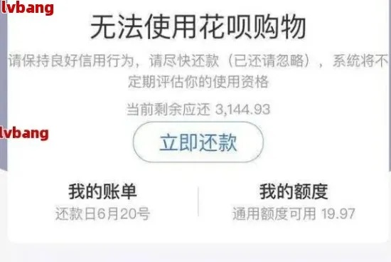 花呗逾期了，其他网贷还能借到钱吗？