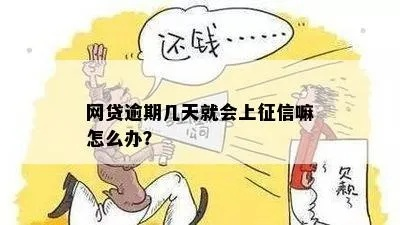 网贷逾期四五年上征信吗
