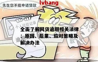 网贷逾期一年了怎么办理？资深律师教你应对策略