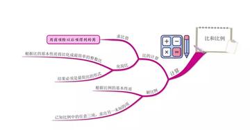 比例怎么计算？掌握核心方法，轻松应对各类场景！