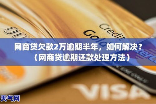网商贷欠款十几万逾期了
