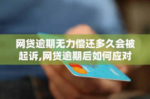 网贷被起诉无力还款，我该怎么办才好？