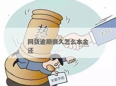 网贷逾期5年后，本金还能还吗？