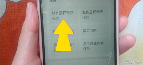 新农合缴费全攻略，2024年最新操作指南