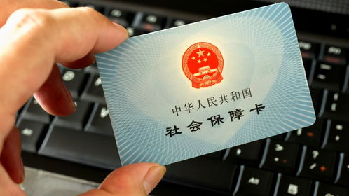 社保突然不交了，我怎么查到自己是否中招？