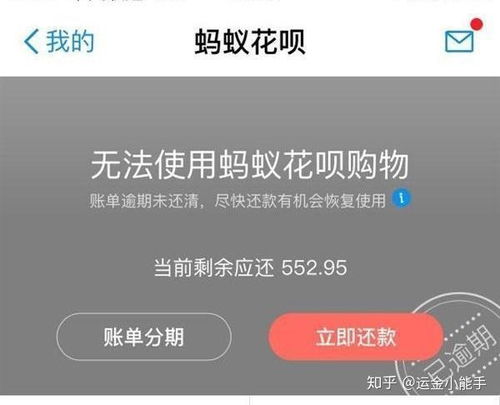 支付宝网商贷逾期2万，真的会被起诉坐牢吗？