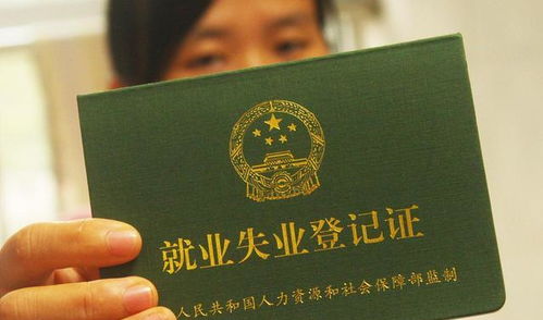 社保交半路不交了，到底亏不亏？