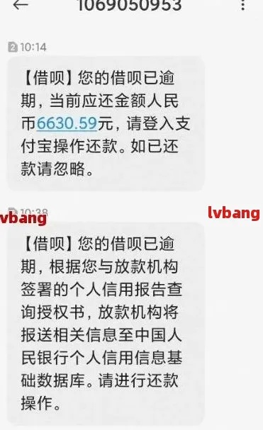 七天网贷逾期一年