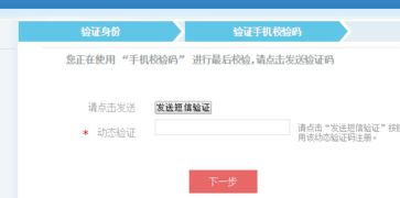 社保账号怎么查询？手把手教你快速找到自己的社保信息！