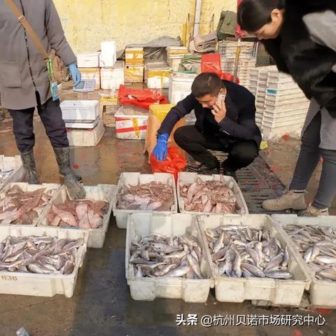 饭店不交社保？小心老板赔到肉疼！