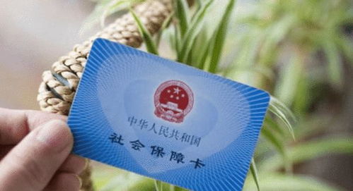 不交社保，真的是在省血汗钱吗？2020年全国社保断缴潮背后的法律风险