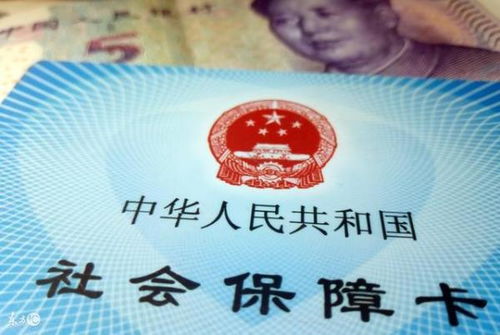 公司不给我交社保，我该怎么办？台企员工的权益守护指南