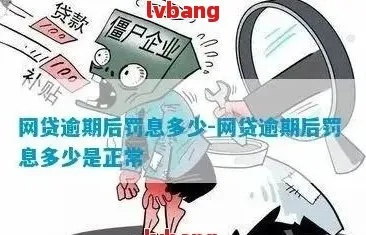 2024年网贷逾期还款政策大调整！欠钱不还真的会坐牢吗？