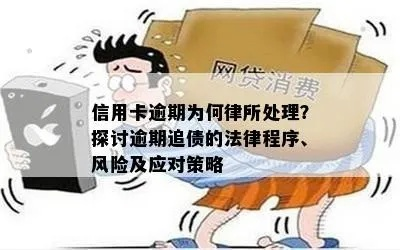 逾期了还能借网贷来还款吗?法律风险与理性选择 逾期了还能借网贷来还款吗?法律风险与理性选择