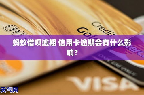 蚂蚁金融逾期1年多，我的信用还有救吗？