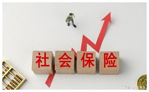 北京社保不交了，我的未来会怎么办？