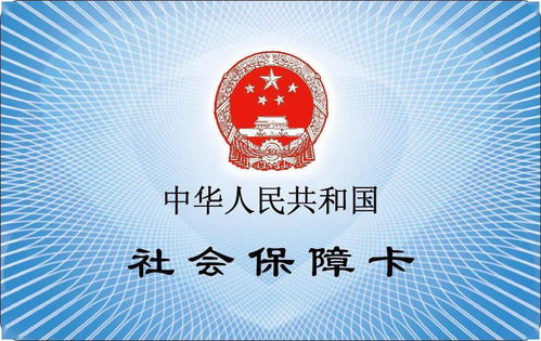 公司最近不交社保，我该怎么办？别慌，律师给你支招！