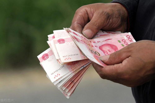 不交社保，真的能领到社保待遇吗？资深律师为你揭秘！