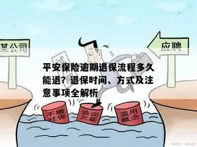 退保怎么退？三步避开‘割肉’陷阱，律师教你聪明操作！