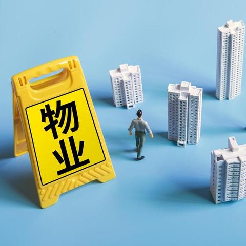 社保交不交好？律师为您揭秘背后的法律与人生抉择