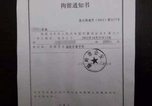 无犯罪证明怎么开？一文详解办理全流程