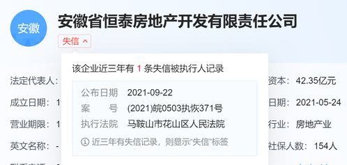网贷逾期后，名下唯一住房会被强制执行吗？资深律师揭秘关键细节！