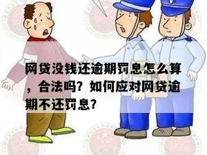 网贷逾期一天罚10元，这钱到底该不该交？律师教你避坑！