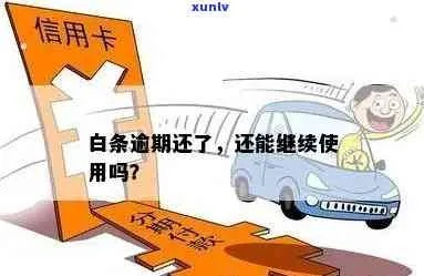 白条逾期1年半，你的信用还能挽回吗？