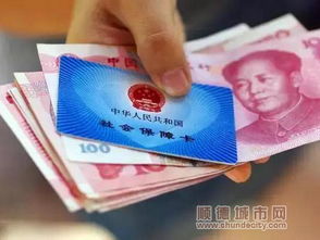 社保不交金，你真的了解后果吗？