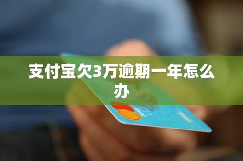 欠了20万，逾期一年，我该怎么办？