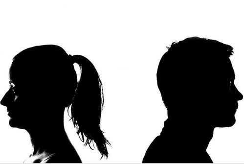 离婚之后，想再办一次离婚要等多久？