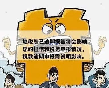 地税零申报逾期1年，你真的了解后果吗？
