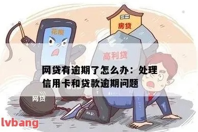 锡林郭勒网贷信用卡逾期了怎么办？律师教你3招化解危机！