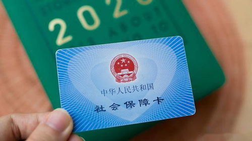 单位不交社保，我的养老钱去哪儿了？