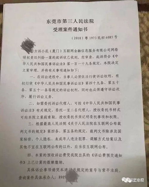 万一借网贷太多被起诉了，我该咋办？