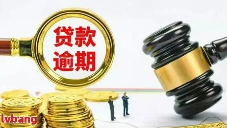 网贷逾期几天会开庭审理？关键时间点你一定要知道！